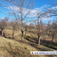 casa-2-camere-de-vanzare-teren-6747-mp-jugur-poenarii-de-muscel-arges-14