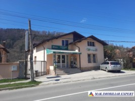 vila-la-munte-s-p-m-teren-1200-mp-leresti-arges-2