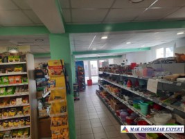 vila-la-munte-s-p-m-teren-1200-mp-leresti-arges-9