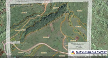 padure-55-ha-si-teren-3-ha-25-ha-de-vanzare-in-aninoasa-arges-9