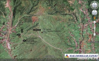 padure-55-ha-si-teren-3-ha-25-ha-de-vanzare-in-aninoasa-arges-10