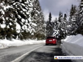 teren-6-ha-intravilan-obarsia-lotrului-valcea-transalpina-valcea-investitie-ideala