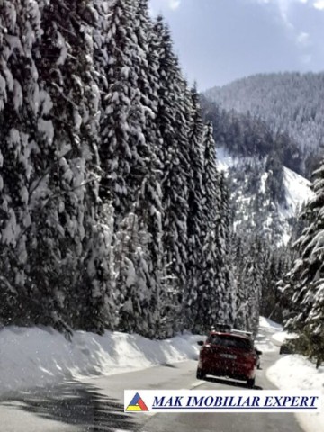 teren-6-ha-intravilan-obarsia-lotrului-valcea-transalpina-valcea-investitie-ideala-2