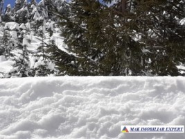 teren-6-ha-intravilan-obarsia-lotrului-valcea-transalpina-valcea-investitie-ideala-3