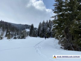teren-6-ha-intravilan-obarsia-lotrului-valcea-transalpina-valcea-investitie-ideala-1