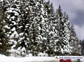 teren-6-ha-intravilan-obarsia-lotrului-valcea-transalpina-valcea-investitie-ideala-9