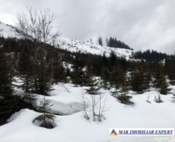 teren-6-ha-intravilan-obarsia-lotrului-valcea-transalpina-valcea-investitie-ideala-5