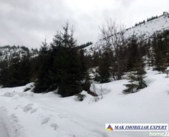 teren-6-ha-intravilan-obarsia-lotrului-valcea-transalpina-valcea-investitie-ideala-8