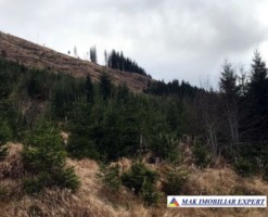 teren-6-ha-intravilan-obarsia-lotrului-valcea-transalpina-valcea-investitie-ideala-6