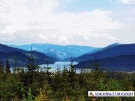 teren-6-ha-intravilan-obarsia-lotrului-valcea-transalpina-valcea-investitie-ideala-4