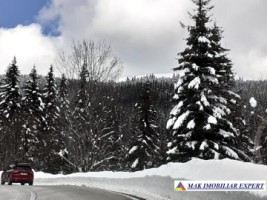 teren-6-ha-intravilan-obarsia-lotrului-valcea-transalpina-valcea-investitie-ideala-12