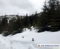 teren-6-ha-intravilan-obarsia-lotrului-valcea-transalpina-valcea-investitie-ideala-16