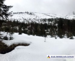 teren-6-ha-intravilan-obarsia-lotrului-valcea-transalpina-valcea-investitie-ideala-14