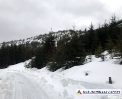 teren-6-ha-intravilan-obarsia-lotrului-valcea-transalpina-valcea-investitie-ideala-17