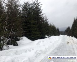 teren-6-ha-intravilan-obarsia-lotrului-valcea-transalpina-valcea-investitie-ideala-20