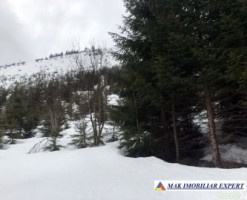 teren-6-ha-intravilan-obarsia-lotrului-valcea-transalpina-valcea-investitie-ideala-19