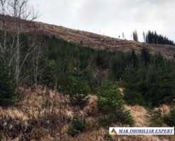 teren-6-ha-intravilan-obarsia-lotrului-valcea-transalpina-valcea-investitie-ideala-18