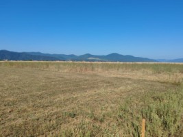 teren-intravilan-dumbrava-rosie-4500-mp-ideal-sediu-firmalocuinta-0