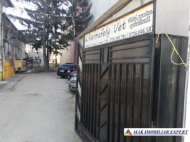 vand-vila-de-patrimoniu-cu-14-camere-si-teren-de-969-mp-pitesti-arges-24
