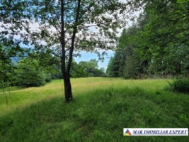 de-vanzare-teren-intravilan-5000-mp-nucsoara-arges