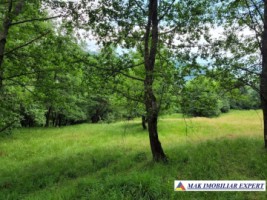 de-vanzare-teren-intravilan-5000-mp-nucsoara-arges-1
