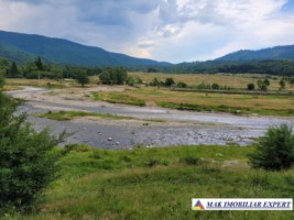 de-vanzare-teren-intravilan-5000-mp-nucsoara-arges-2