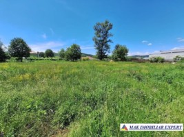 teren-intravilan-2414-mp-de-vanzare-in-domnesti-arges-2