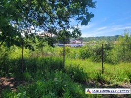 teren-intravilan-2414-mp-de-vanzare-in-domnesti-arges-3