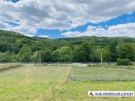 teren-intraextravilan-1-ha-draghici-mihaesti-arges-ideal-pentru-dezvoltare-rezidentiala-si-agricola-8