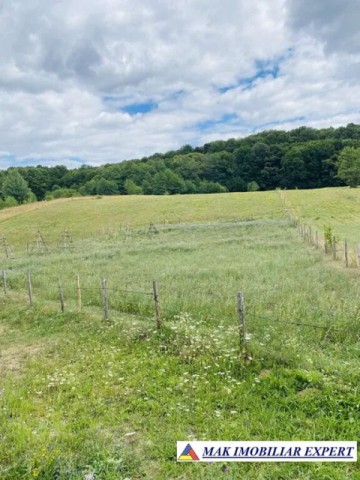 teren-intraextravilan-1-ha-draghici-mihaesti-arges-ideal-pentru-dezvoltare-rezidentiala-si-agricola-6
