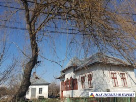 casa-la-tara-cu-3-camere-si-teren-de-4000-mp-de-vanzare-in-bughea-de-sus-arges-5