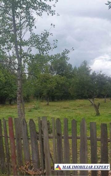 casa-la-tara-cu-3-camere-si-teren-de-4000-mp-de-vanzare-in-bughea-de-sus-arges-9
