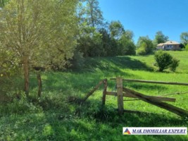 teren-intravilan-8000-mp-de-vanzare-in-zona-montana-bughea-de-sus-arges-1