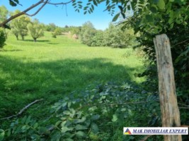 teren-intravilan-8000-mp-de-vanzare-in-zona-montana-bughea-de-sus-arges-2