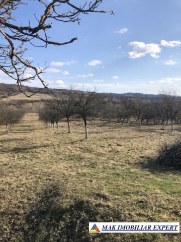 teren-7000-mp-intravilan-si-extravilan-de-vanzare-in-mihaesti-arges-1