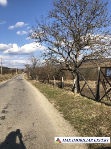teren-7000-mp-intravilan-si-extravilan-de-vanzare-in-mihaesti-arges-3