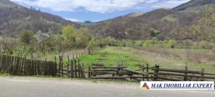 teren-extravilan-1000-mp-de-vanzare-in-stoenesti-arges-3