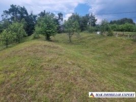 teren-intravilan-4095-mp-de-vanzare-in-cetateni-arges-2