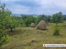 teren-intravilan-4095-mp-de-vanzare-in-cetateni-arges-1