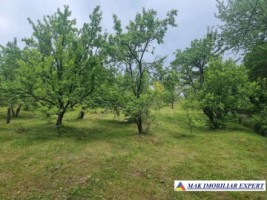 teren-intravilan-4095-mp-de-vanzare-in-cetateni-arges-3