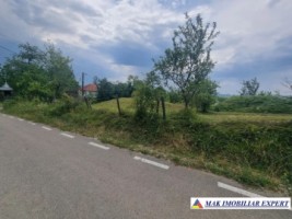 teren-intravilan-4095-mp-de-vanzare-in-cetateni-arges-5