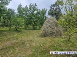 teren-intravilan-4095-mp-de-vanzare-in-cetateni-arges-4