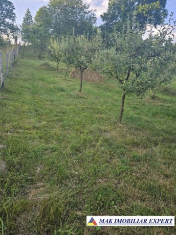 de-vanzare-teren-930-mp-intravilan-musatesti-arges-2