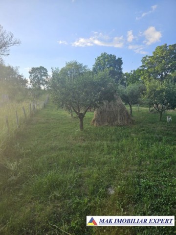 de-vanzare-teren-930-mp-intravilan-musatesti-arges-4