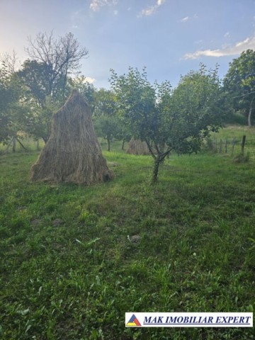 de-vanzare-teren-930-mp-intravilan-musatesti-arges-5