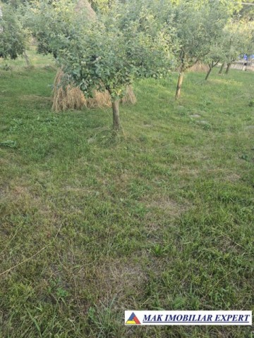 de-vanzare-teren-930-mp-intravilan-musatesti-arges-3