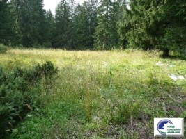 predeal-teren-intravilan-zona-malul-ursului