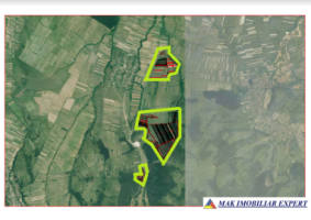 ferma-viticola-de-115-ha-de-vanzare-in-arad-intraextravilan-oportunitate-de-investitie-10