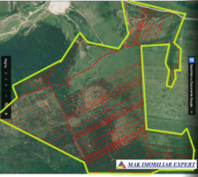 ferma-viticola-de-115-ha-de-vanzare-in-arad-intraextravilan-oportunitate-de-investitie-11