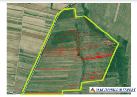 ferma-viticola-de-115-ha-de-vanzare-in-arad-intraextravilan-oportunitate-de-investitie-13